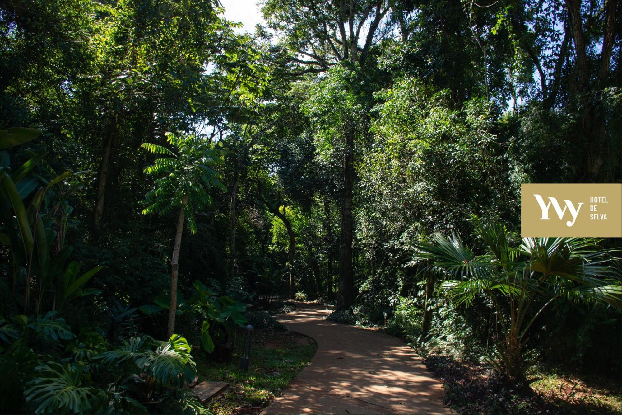 Yvy Hotel De Selva Puerto Iguazú Exterior foto